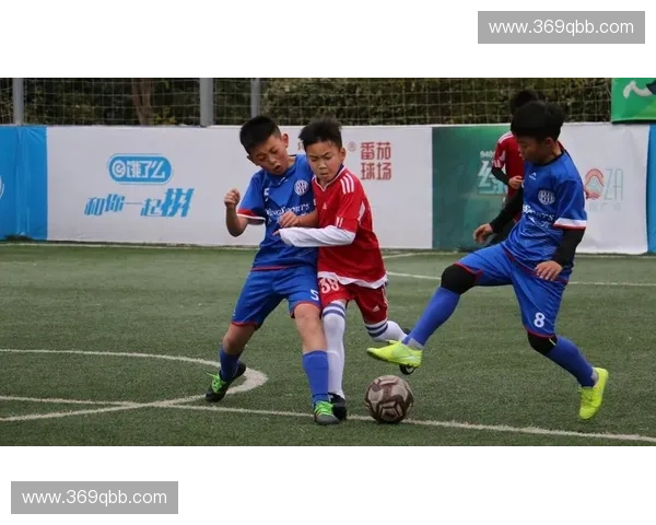 全球范围内主要足球联赛数量及其分布格局的深度解析与比较研究